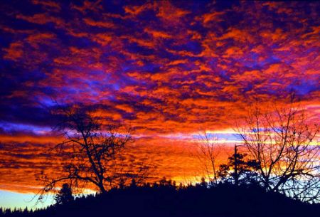 WOW! Sometimes you get lucky and are in just the right pl... by Rick Tegeler 