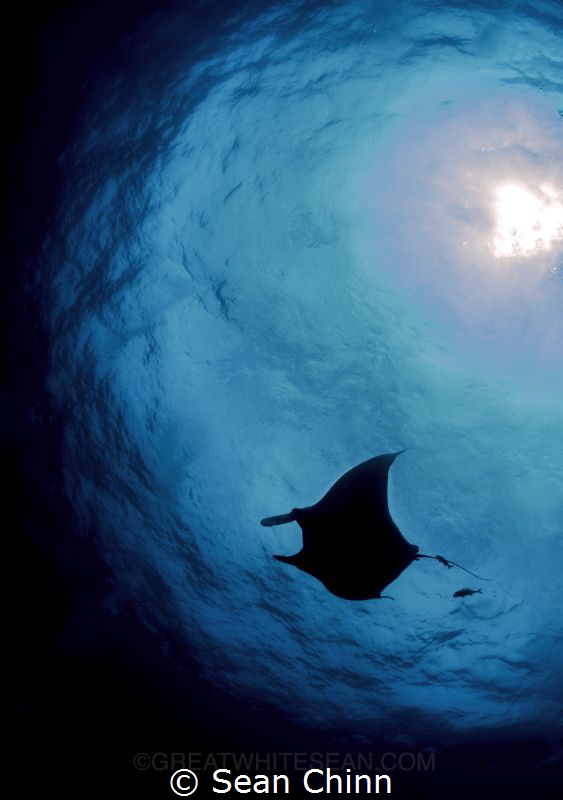 Blue Planet by Sean Chinn 