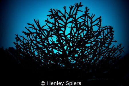 Under the table by Henley Spiers 