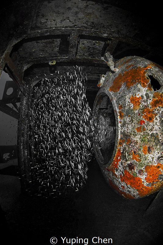 Inside the Chamber/USS KITTIWAKE/Grand Cayman,Canon 5D Ma... by Yuping Chen 