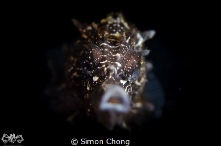 Angry Face by Simon Chong 