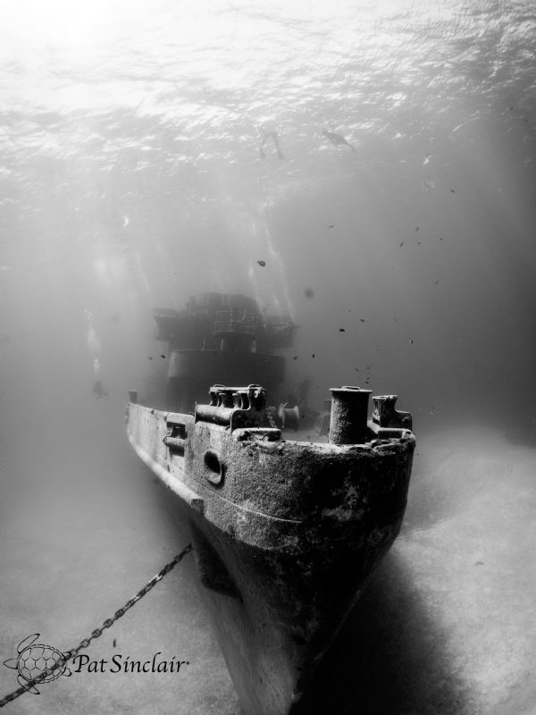 Diving on the Kittiwake, I wanted to show a large portion... by Patricia Sinclair 