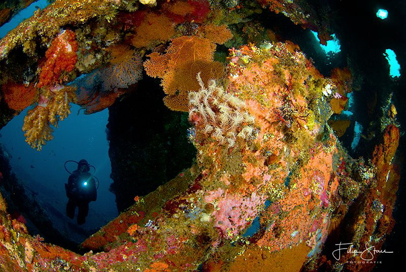 USS Liberty, Tulamben, Bali. by Filip Staes 