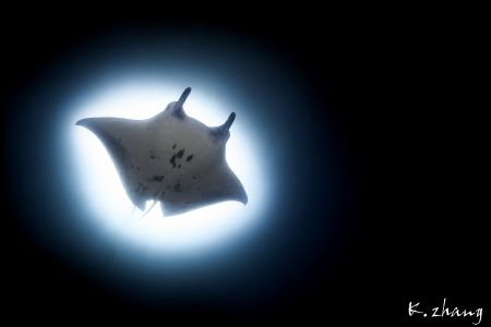 Gotham needs Batman by Jingong Zhang 