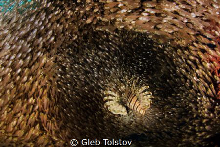 Lonely in a Crowd by Gleb Tolstov 