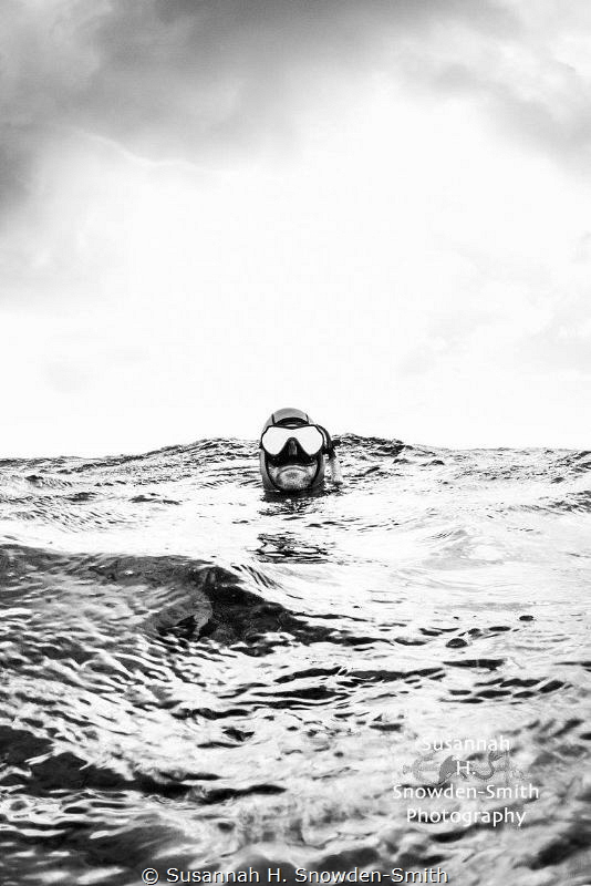 "Liquid Mercury"
Stormy Day and Diver by Susannah H. Snowden-Smith 