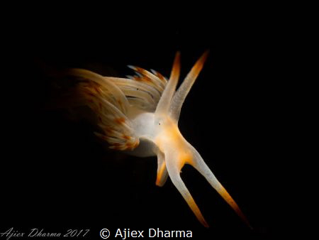 Poker face by Ajiex Dharma 