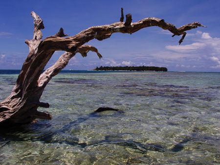 North East cay on Glovers Reef. by Martin Spragg 
