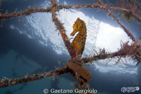 Love her "polka dots" by Gaetano Gargiulo 