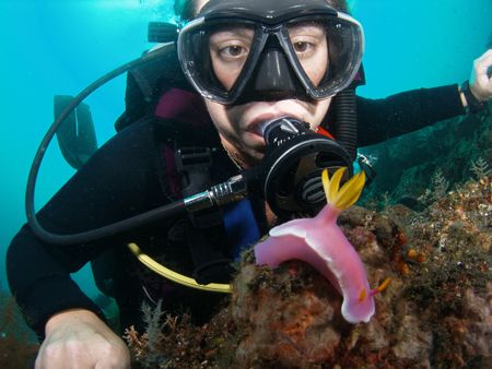 Diver & Bullocki Bali Olympus 7070 by Brad Cox 