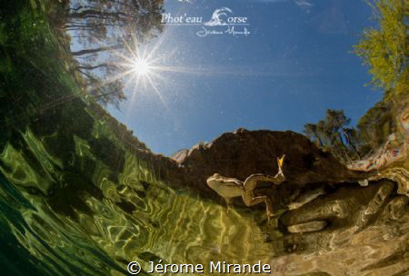 I believe i can fly ♪♫ by Jérome Mirande 