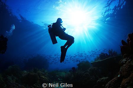 Tranquility - This was a picture taken towards the end of... by Neil Giles 