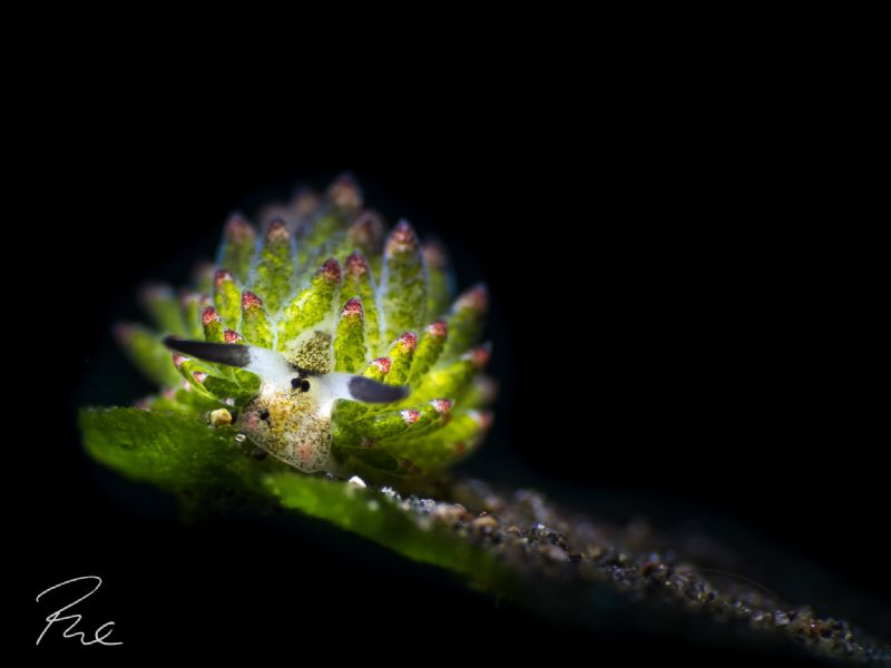 On the edge by Philippe Eggert 