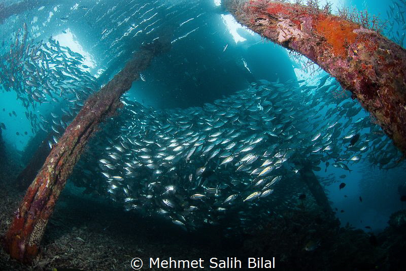 Under the Arborek jetty. by Mehmet Salih Bilal 