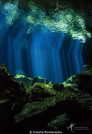 Cenote Tajma Ha, Mexico by Natalie Bondarenko 