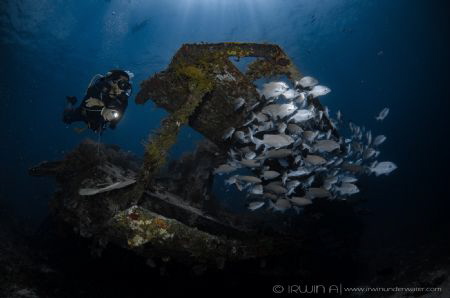 B O U N T Y - W R E C K
Gili Meno
Lombok (Gili), Indone... by Irwin Ang 