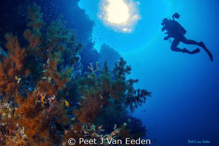Ascending  near Situ island by Peet J Van Eeden 