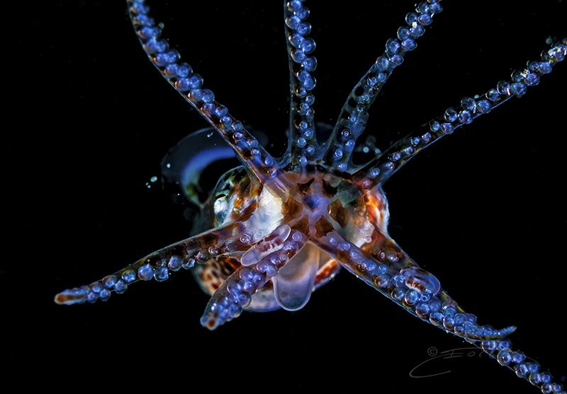 ~ Reach Out Touch Me ~ by Geo Cloete 