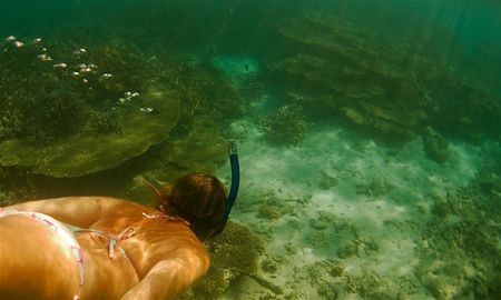 shallow reef. by Gregory Grant 