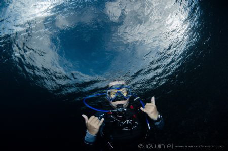 T R A N S P A R E N T
Manta Point
Lombok (Gili), Indone... by Irwin Ang 