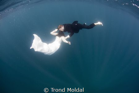 Made this for our wedding. by Trond Moldal 
