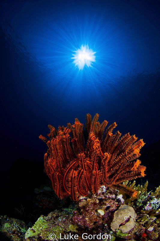 Orange and Blue - Sunburst by Luke Gordon 