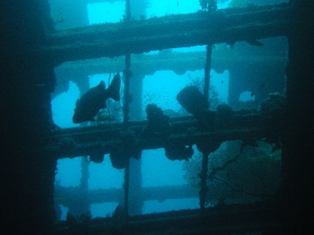 "Promenade Deck" Whilst penetrating the hull of the S.S P... by Damien Preston 