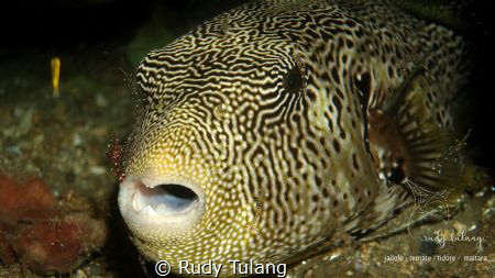 take with RX100MK4 at ternate island by Rudy Tulang 