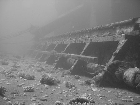 Part of the million hope wreck in Nabq area taken with an... by Nikki Van Veelen 