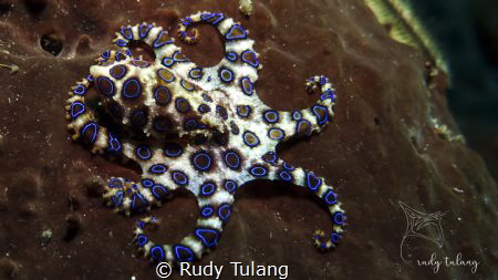 i am danger... beware..! by Rudy Tulang 