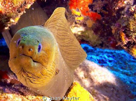 Olumpus E-PM1 - Aruba by Juan Keyter 