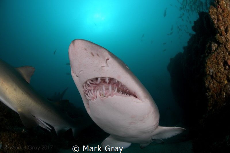 Uncropped 10.5mm Fisheye by Mark Gray 