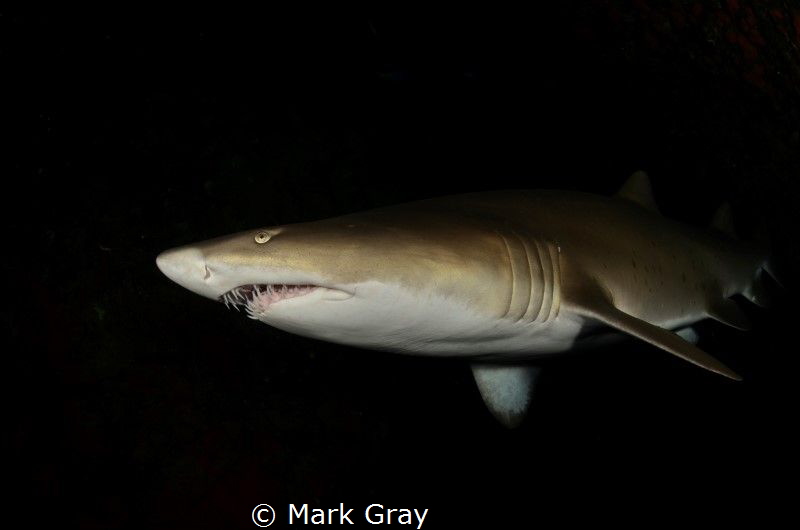 Shot taken inside the cave at Fish Rock.  Straight from t... by Mark Gray 