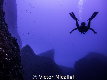 Free fallin' into the blue by Victor Micallef 