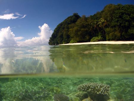 Ulong island in Palau where some of the Survivor series w... by Alex Tattersall 