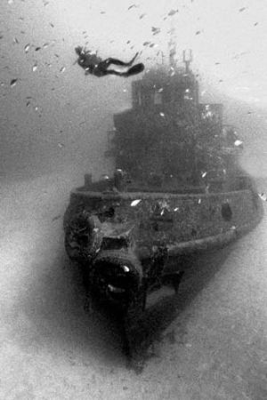This is The Rozie Wreck, it was taken with a Nikon 90X wi... by Marilyn Hiatt 
