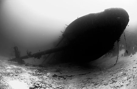 Hooker wreck in Bonaire. Nikon D2x, 10.5 FE. by Rand Mcmeins 