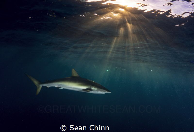 Silky Sunset by Sean Chinn 