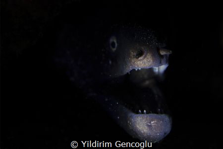 The one whocomes from darkness. by Yildirim Gencoglu 