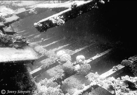 Wreck of the Kingston at Shag Rock, northern Red Sea. Sho... by Jonny Simpson-Lee 