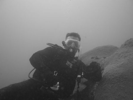 Lizard Fish a little intimidating from this angle? taken ... by Andrew Page 
