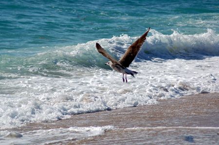 a day at the beach by Joanne Fraser 