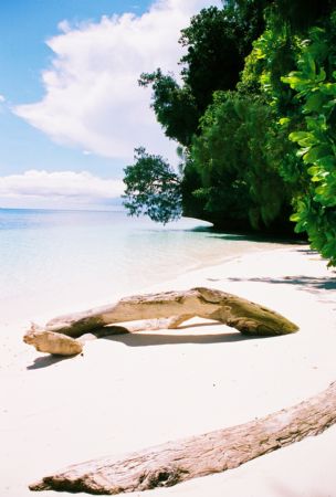 The view while resting between dives at Ulong Channel. by Morgan Ashton 