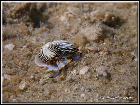 White sandy bottom and up/down pictures don't look too go... by Yves Antoniazzo 