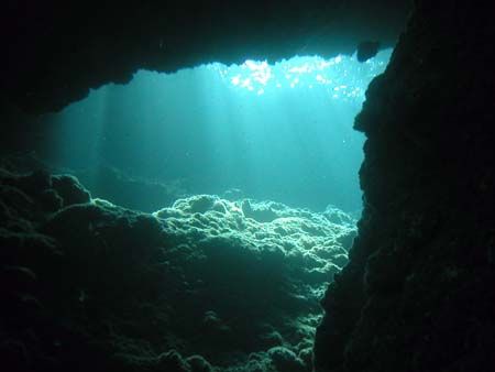 The Cave by Joe Edwards 