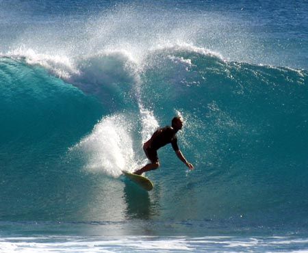 Bad viz due to big swell. At least hubby had a good surf!... by Penny Murphy 
