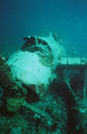 WW II Japanese Float-Plane. The dive guide considered thi... by Morgan Ashton 