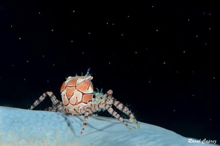 Watching the stars from another planet by Raoul Caprez 