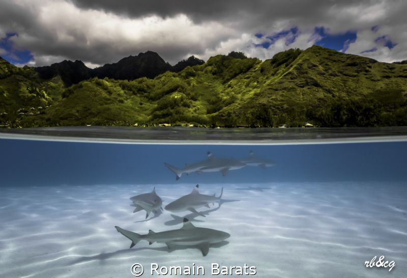 a O/U from a polynesian beach by Romain Barats 