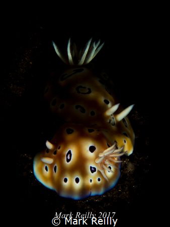 two nudis by Mark Reilly 